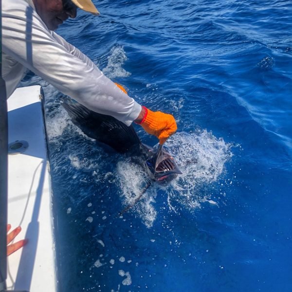 Copy of IMG_1733 Large