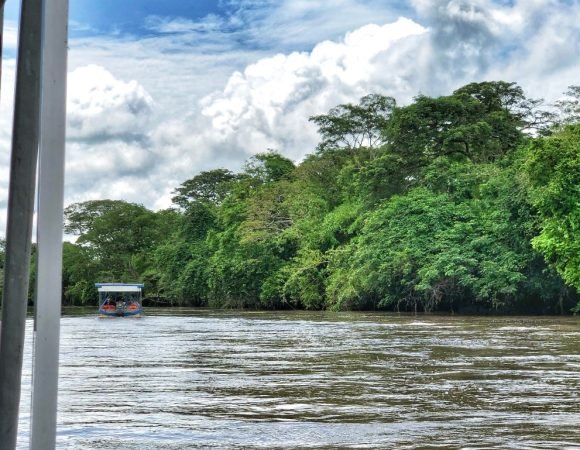 PALO VERDE RIVER SAFARI