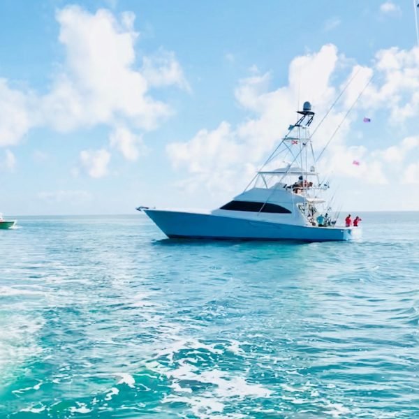 fishing-boat-fishing-for-a-sailfish Large