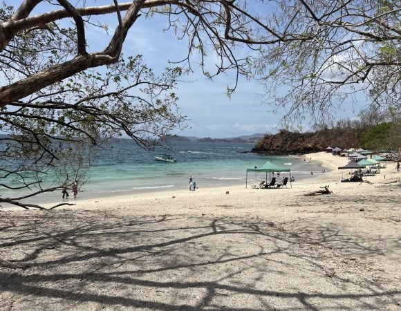 BEACH HOPPING WITH PRIVATE DRIVER