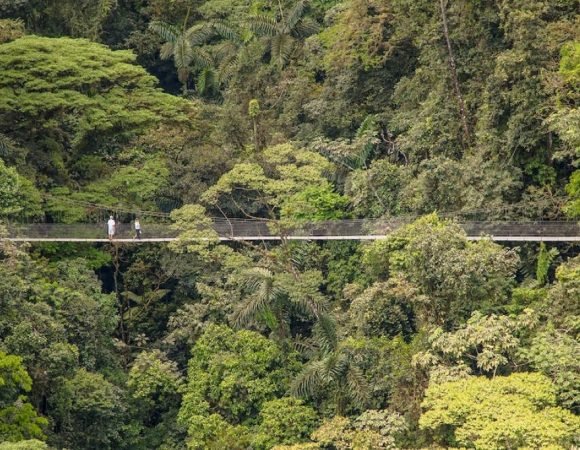 ARENAL VOLCANO HANGING BRIDGES & HOT SPRINGS