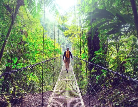 MONTEVERDE CLOUD FOREST - HANGING BRIDGES + ZIPLINING