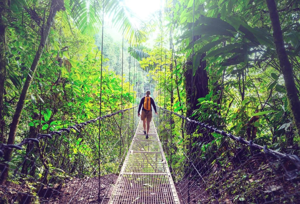 MONTEVERDE CLOUD FOREST – HANGING BRIDGES + ZIPLINING