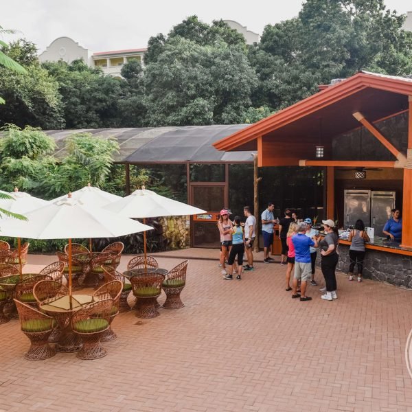 Diamante Facilities13