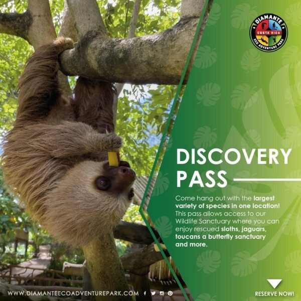 WhatsApp Image 2024-10-26 at 10.55.16 AM (4)