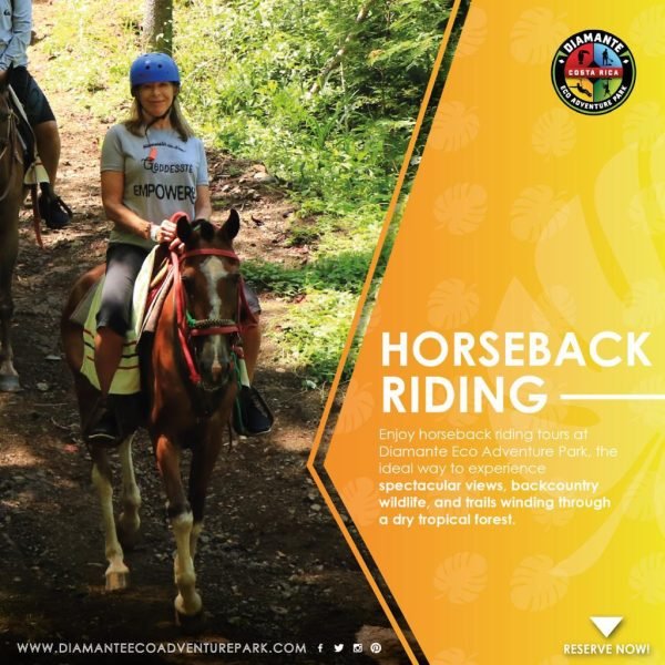 WhatsApp Image 2024-10-26 at 10.55.16 AM (5)