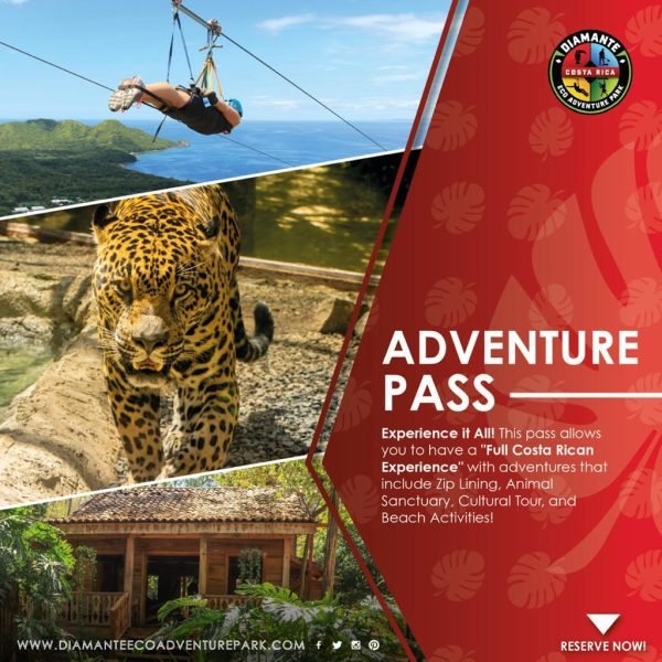 WhatsApp Image 2024-10-26 at 10.55.16 AM